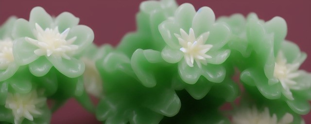 墨玉花能在室内放吗