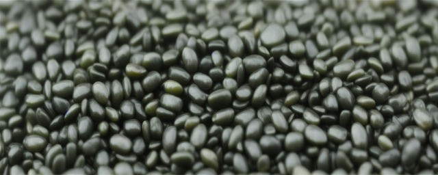 和田县的墨玉籽料特征