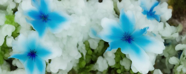 墨玉青花如何保养