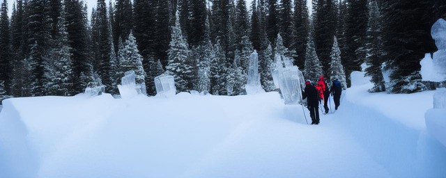 icicle是什么牌子