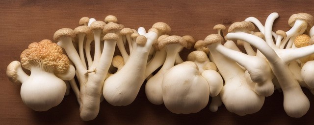 松茸吃了有什么好处