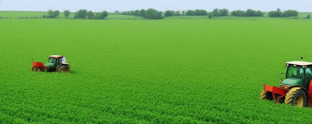 种植业什么最赚钱农村