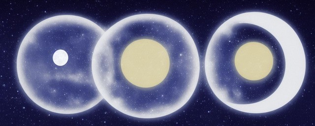 星月菩提有什么寓意