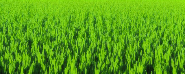 种植什么最赚钱
