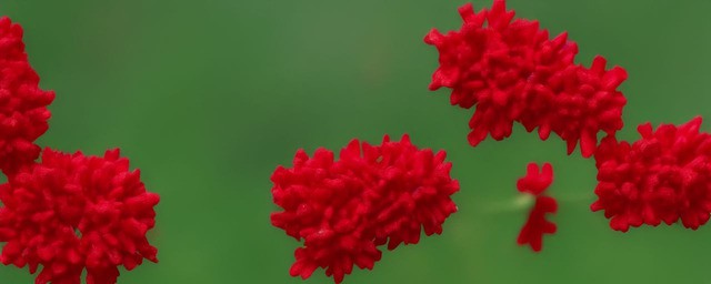 朱砂佩戴有什么好处