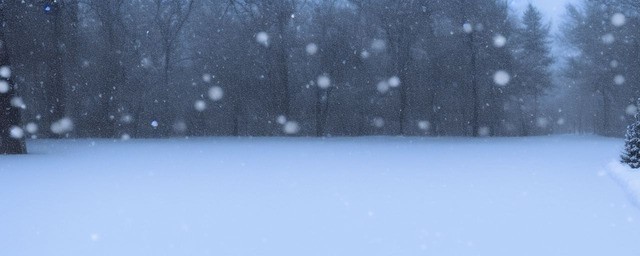 梦到下雪是什么意思