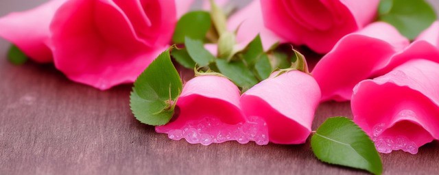 玫瑰花泡水喝有什么好处