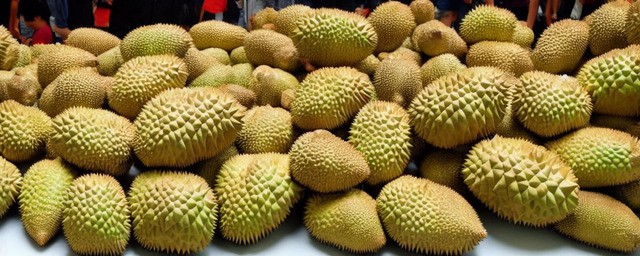 梦到榴莲是什么意思