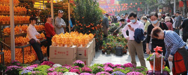 丁香花花语 丁香花的寓意是什么