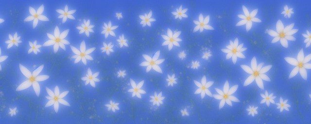 蓝满天星的花语