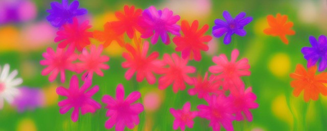 花语友谊的花是什么