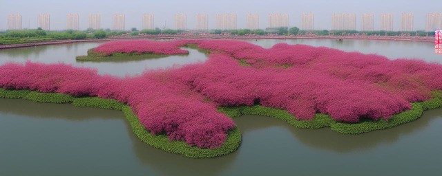 郑州荣盛花语水岸