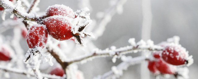 寒潮发生在什么季节 寒潮是什么