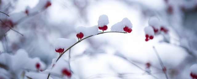 小雪最出名的诗句 关于小雪节气最有名的诗句