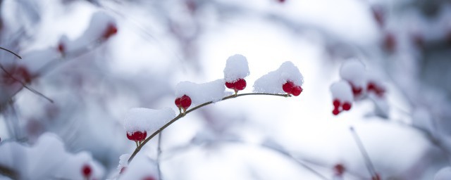 小雪的习俗 小雪的农事活动