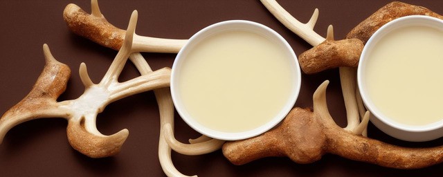 鹿角胶煲汤的做法