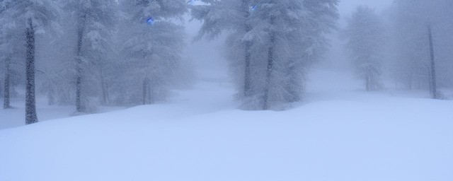 描写大雪的优美段落
