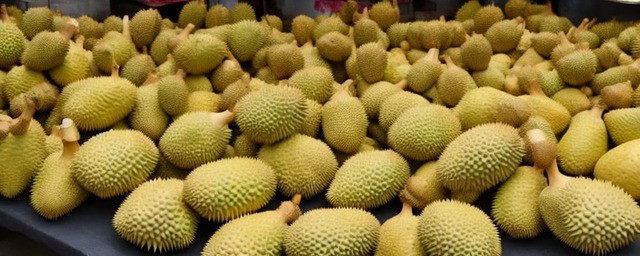 榴莲不能和什么一起吃