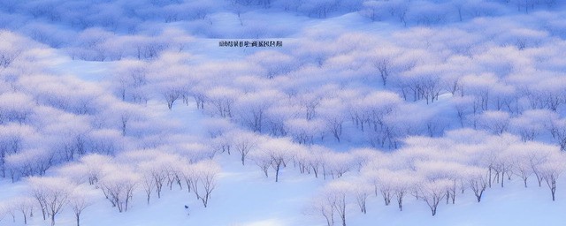 大雪节气的特点和风俗
