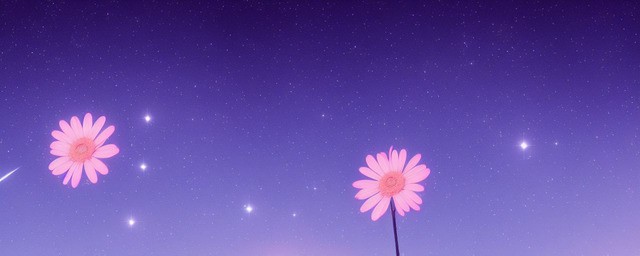 满天星的花语是
