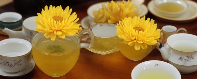 来姨妈可以喝菊花茶嘛