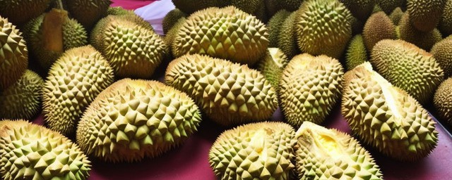 来姨妈可以吃榴莲不