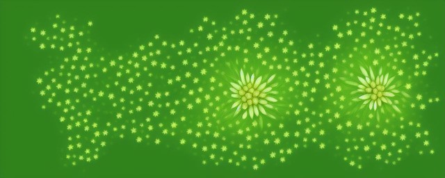绿色满天星花语