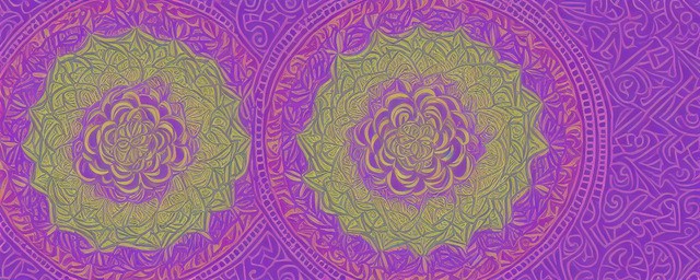 曼陀罗花语是什么意思