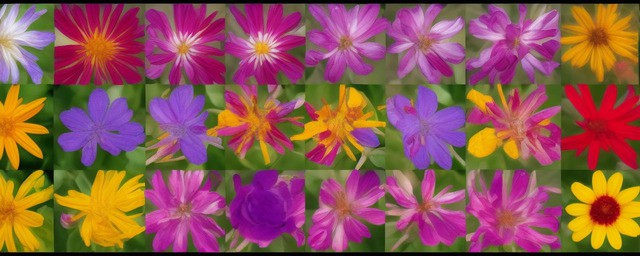 十二星座的守护花花语