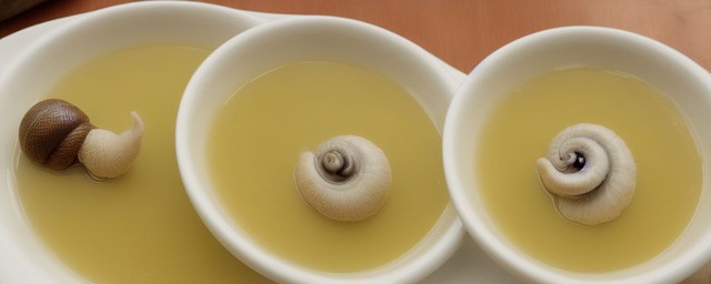 丝瓜螺汤的做法