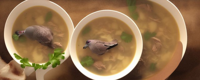 怀孕鸽子汤的做法