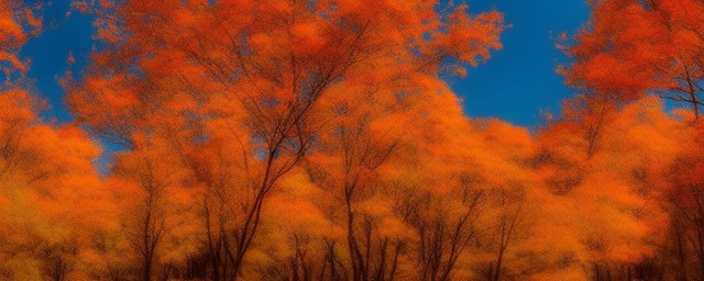描写秋天的景色