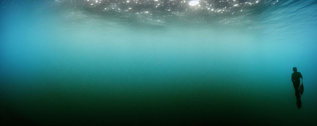 夜钓深水还是浅水