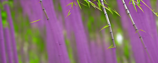 紫竹梅什么时候开花
