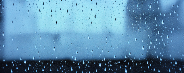 雨作文600字