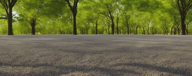 什么树最旺水泥地种植