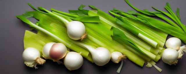 洋葱韭菜能不能一起煮