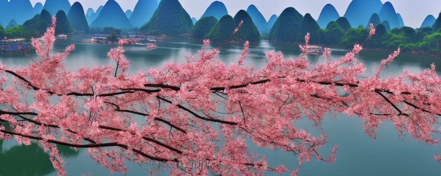 春节桂林特色旅游攻略