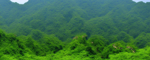 南平武夷山游玩攻略