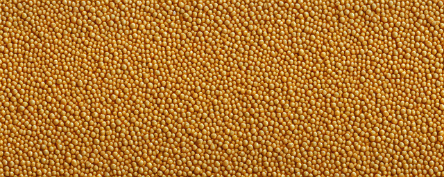 决明子的功效与作用 决明子的功效与作用