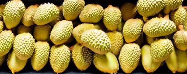榴莲可以放冰箱多久