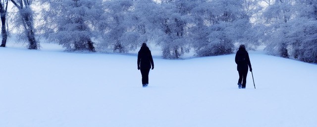 梦见雪地上行走
