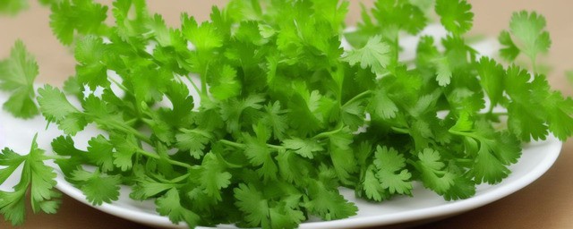 香菜煮水神奇功效