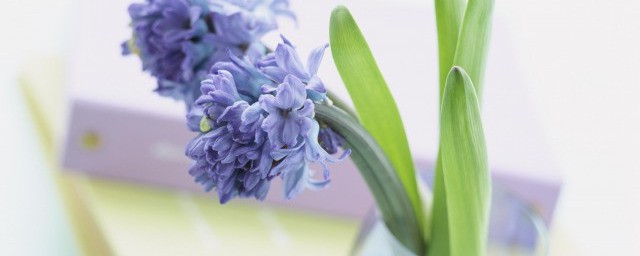 戮力和勠力区别是什么 戮力和勠力区别是什么