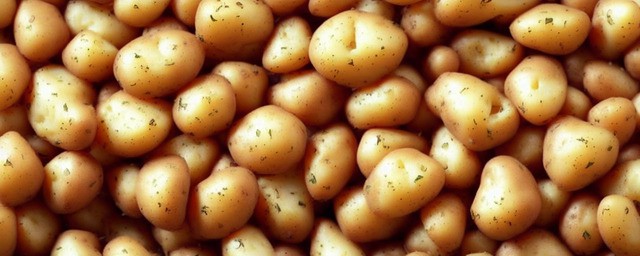 土豆不能和什么东西一起吃