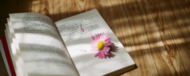 什么是光明的未来