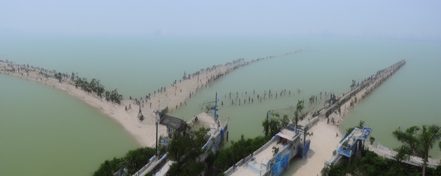 南沙目前最旺的地方是什么