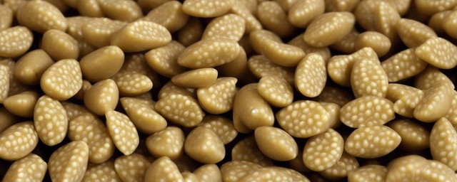 新鲜莲子不能和什么一起吃