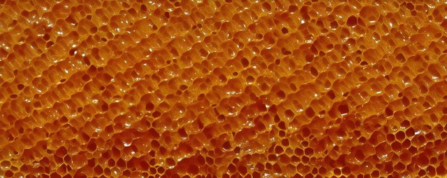 几种蜂蜜不能一起吃