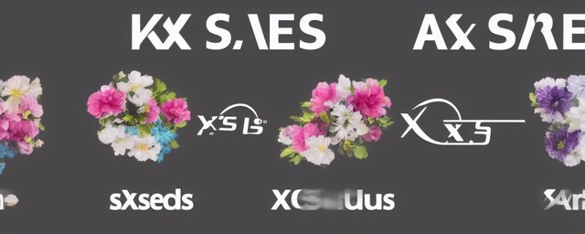 xs和xr哪个好
